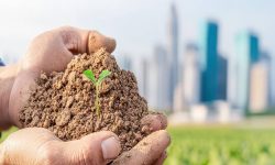 आज अन्तरराष्ट्रिय स्वयंसेवक दिवस, विश्व माटो दिवस पनि आजै