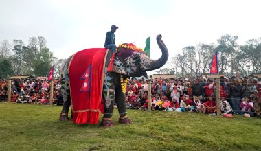 चितवनको पर्याय बन्दै ‘हात्ती तथा पर्यटन महोत्सव’