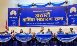 नेपाल दूरसञ्चार कम्पनी लिमिटेडको लाभांश पारित