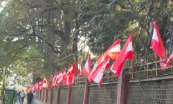 कांग्रेसका झण्डाले सिँगारिए उपत्यकाका सडक