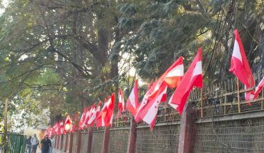 कांग्रेसका झण्डाले सिँगारिए उपत्यकाका सडक