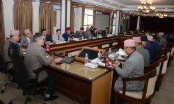 निर्वाचन सुरक्षा सम्बन्धमा गृहमन्त्री अर्यालद्वारा प्रदेशका प्रमुख सचिवहरूसँग छलफल