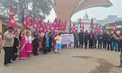 विद्युतीय पोलमा राष्ट्रिय झण्डा