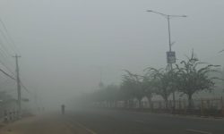 बाक्लो हुस्सु र कुहिरोले पश्चिम तराईको जनजीवन प्रभावित