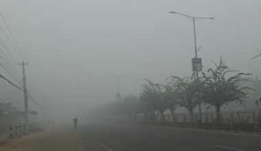 बाक्लो हुस्सु र कुहिरोले पश्चिम तराईको जनजीवन प्रभावित