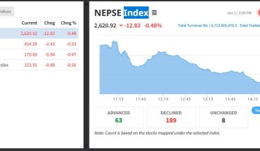 नेप्सेमा दोहोरो अंकले गिरावट, कारोबार रकम चार अर्ब ७१ करोड रुपैयाँमा सीमित