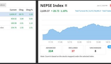 नेप्से २८ अंकले बढ्दा छ अर्ब ४७ करोडको सेयर किनबेच