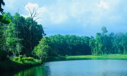 पर्यटकको रोजाइमा वेतना सिमसार