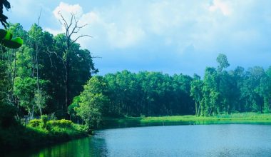 पर्यटकको रोजाइमा वेतना सिमसार