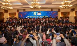 एक सय ४१ जना चार्टर्ड एकाउन्टेन्ट दिक्षीत