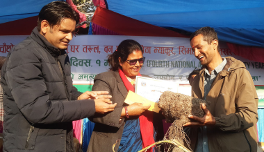 पोखरामा बृहत् कन्दमूल प्रदर्शनी