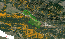 उद्यमसहितको वन व्यवस्थापनले आगलागी शून्य