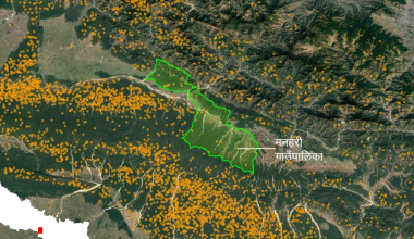 उद्यमसहितको वन व्यवस्थापनले आगलागी शून्य