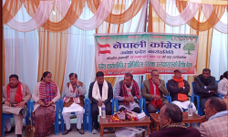 कांग्रेस सभापति थापाद्वारा पार्टी एकता र सङ्गठन सुदृढीकरणमा जोड