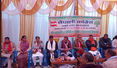 कांग्रेस सभापति थापाद्वारा पार्टी एकता र सङ्गठन सुदृढीकरणमा जोड