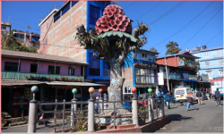 स्थानीय पहिचान झल्काउने ‘स्तम्भ’