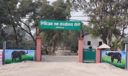 मुहार फेर्दै डिभिजन वन कार्यालय बाँके