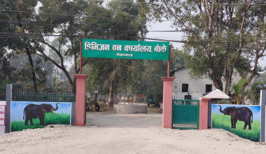 मुहार फेर्दै डिभिजन वन कार्यालय बाँके