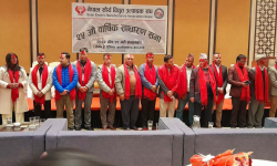 सौर्य विद्युत् उत्पादक संघको अध्यक्षमा मल्ल