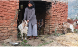 आर्थिक सामाजिक जोखिम व्यवस्थापन सूचना प्रणाली प्रभावकारी