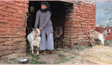 आर्थिक सामाजिक जोखिम व्यवस्थापन सूचना प्रणाली प्रभावकारी