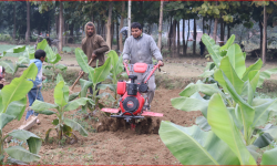 शिक्षण पेसासँगै कृषिमा रमाउँदै सर्वेन्द्र
