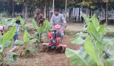 शिक्षण पेसासँगै कृषिमा रमाउँदै सर्वेन्द्र