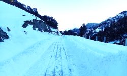 भारी हिमपातका कारण अलपत्र यात्रुको उद्धार