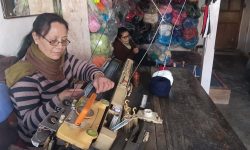 घरेलु उद्यममा व्यस्त भोजपुरका दुई दिदीबहिनी