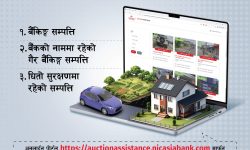 एनआईसी एशिया बैंकको सम्पत्ति लिलाम बिक्री सम्बन्धी विस्तृत जानकारी