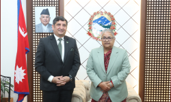 प्रधानमन्त्री कार्कीसमक्ष राजदूत अवरार एच. हासमीको शिष्टाचार भेट