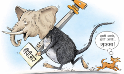 स्थानीय तह : डेढ अर्ब डीपीआरमै, खोज्दा अभिलेख भेटिंदैन