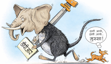 स्थानीय तह : डेढ अर्ब डीपीआरमै, खोज्दा अभिलेख भेटिंदैन