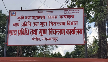 खाद्यान्नमा मिसावटका अभियोगमा व्यापारीविरुद्ध मुद्दा
