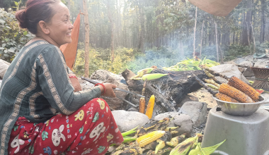 भाउन्नेमा पोलेको मकैको व्यापार फस्टाउँदै