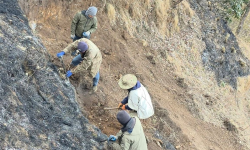 धौलागिरि आइसफल जोड्ने पदमार्ग निर्माण