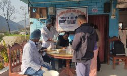 गाईभैँसीमा थुनेलो रोग