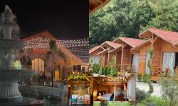 बारासिङ्गे बियर गार्डेनसहितको टाईगर फरेष्ट होटल प्राली