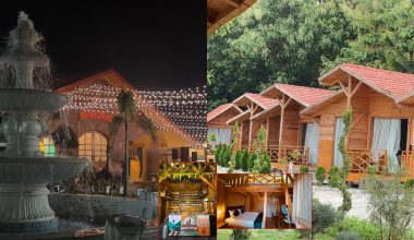 बारासिङ्गे बियर गार्डेनसहितको टाईगर फरेष्ट होटल प्राली