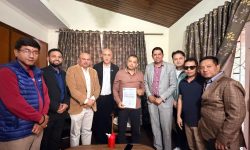 विश्वका नेपाली मूललाई नेपालसँग जोड्न पहल गर्छु : सभापति थापा