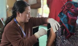 नवलपरासीपूर्वमा‘जापनिज इन्सेफ्लाइटिस’ सङ्क्रमणदर उच्च : ३५ वर्षमाथिलाई खोप लगाईँदै