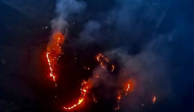 मानवीय लापरवाहीबाट डढेलोको उच्च जोखिम