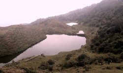 चार लेन सडक निर्माणका लागि विद्युत् पोल हटाइँदै