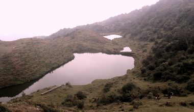 चार लेन सडक निर्माणका लागि विद्युत् पोल हटाइँदै