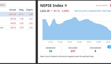 रोकिएन सेयर बजारको भिषण पहिरो, ४७ अंकले घट्दा झन्डै १३ अर्बको सेयर किनबेच