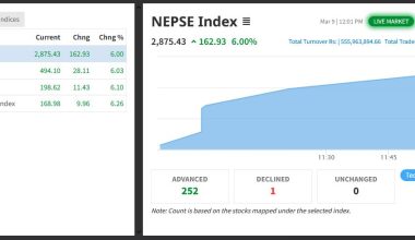चुनावी नतिजासँगै सेयर बजारमा उछाल, एकैदिन एक सय ६२ अंकले बढ्दा २८ सय ७५ बिन्दुमा उक्लियो नेप्से
