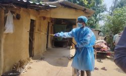 औलो र कालाजार नियन्त्रणका लागि विषादी छिट्न सुरु