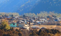 ढोरपाटनमा पहिलोपटक पुग्यो केन्द्रीय लाइन