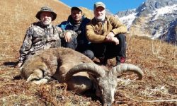 ढोरपाटनमा दोस्रो यामको सिकार सुरु