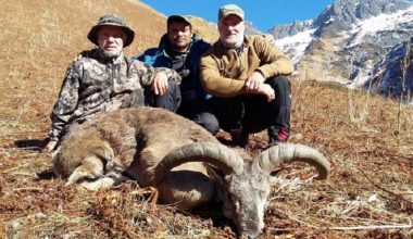 ढोरपाटनमा दोस्रो यामको सिकार सुरु